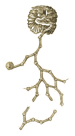 Atrus's Map of Channelwood Age