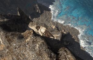 'Cho' off the cliff easter egg