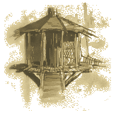 Treehouse sketch